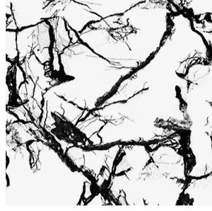 Meet your Posher, Mimi